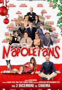 Napoletans