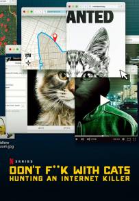 Giù le mani dai gatti: caccia a un killer online